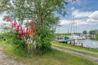  Ferienhaus Reethus bei den Wassern mit Sauna, Kamin und Terrasse Loddin - Landschaft