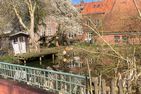  Ferienhaus Dorfhotel Wattwurm Ostfriesland - Landschaft