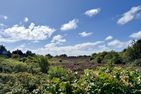  Haus Westerheide List - Landschaft