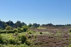  Haus Westerheide List - Gartenblick