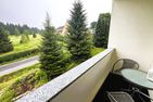  Natur erleben in Weitersglashütte – gemütliche Wohnung mit Balkon WGH3 Erzgebirge - 