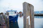  Nordliv Wohnung 4 Büsum - Landschaft