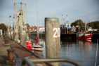  Nordliv Wohnung 6 Büsum - Landschaft