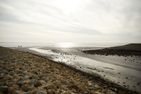  Nordliv Wohnung 7 Büsum - Landschaft