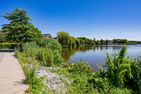 Uns Schilfhus App. Strandgut mit Parkplatz und nur 100 m zum Strand Heringsdorf - Landschaft