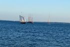  Ferienhaus Ostseestern Ostsee - Strand