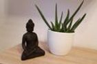  FeWo Sattlerhexe+Sattlerstube  - 