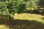  FeWo Sattlerhexe+Sattlerstube  - 