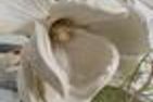  FeWo Sattlerhexe+Sattlerstube  - 