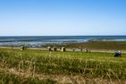  Ferienhaus Deichkind 25 Hedwigenkoog Büsum - Landschaft