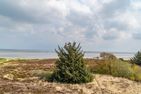  Hüs Wattblick Munkmarsch - Landschaft