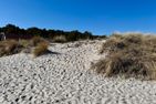  WALDRESIDENZ Ostseebad Prerow - 