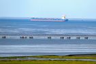 Strandhochhaus SHH9 Cuxhaven Sahlenburg - Meerblick