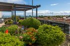  Berolina 330 - Ostseekrabbe Dahme - 