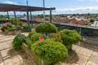  Berolina 330 - Ostseekrabbe Dahme - 