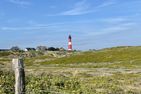  Seestern  - Strand