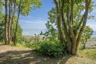  Ferienwohnung Pia mit Fitness, Sauna  und Freizeitbereich Zirchow An der Haffküste - Landschaft
