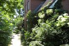  Ferienhaus Marsch auf Föhr Föhr - 