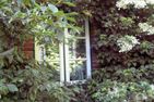  Ferienhaus Marsch auf Föhr Föhr - 