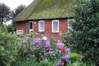  Diek Humptrup - 