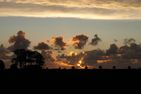  Diek Humptrup - 
