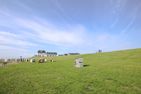  Ferienhaus "Helgoland" Dagebüll - 