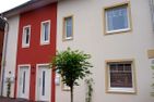  Kleiner Austernfischer Husum - 