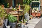 Dünenrose Tinnum - Terrasse