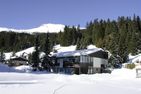  Gentiana (162 Li) Studio Lenzerheide - 