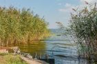  An der Boddenweide Born auf dem Darß - Landschaft