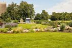  Haus Kranich 01 Wieck auf dem Darß - Garten