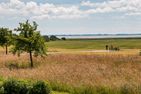  Am Paetowhof 3.7 Ostseebad Ahrenshoop - Landschaft