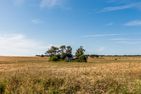  Haus am Feld Ostseebad Ahrenshoop - Landschaft