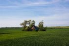  Haus am Feld Ostseebad Ahrenshoop - Landschaft