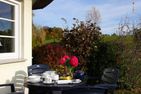  Am Paetowhof 3.4 Ostseebad Ahrenshoop - Terrasse
