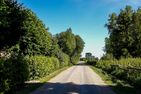 Haus zu den Büschen 02 Ostseebad Wustrow - Landschaft