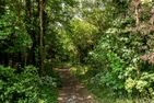  Landhaus Butt 02 Ostseebad Ahrenshoop - Landschaft