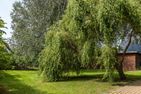  Kiek Över Ostseebad Ahrenshoop - Garten
