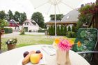 Sonnenblumenhaus Sonnenblumenhaus 01 Ostseebad Prerow - Terrasse