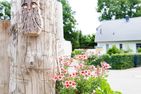 Sonnenblumenhaus Sonnenblumenhaus 01 Ostseebad Prerow - Dekoratives Detail