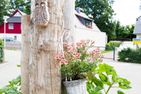 Sonnenblumenhaus Sonnenblumenhaus 02 Ostseebad Prerow - Dekoratives Detail