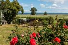 Haus am Bodden Haus am Bodden 01 Ostseebad Ahrenshoop - Garten