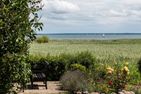 Haus am Bodden Haus am Bodden 01 Ostseebad Ahrenshoop - Garten