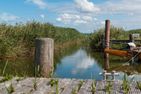 Haus am Bodden Haus am Bodden 02 Ostseebad Ahrenshoop - Landschaft