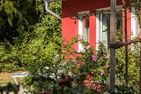  Meertraum Ostseebad Ahrenshoop - Garten