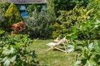  Alte Tischlerei 01 Ostseebad Wustrow - Garten
