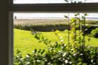 Hof Zeesenblick Hof Zeesenblick 02 Ostseebad Wustrow - Landschaft