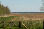 Büdnerhaus am Bodden Büdnerhaus am Bodden 01 Born auf dem Darß - Landschaft