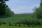 Büdnerhaus am Bodden Büdnerhaus am Bodden 02 Born auf dem Darß - Landschaft
