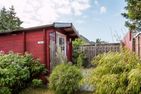 Käptn's nie Hus Kapitänshus - Hus in Lee Born auf dem Darß - Garten